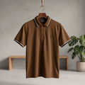 Chestnut polo T-shirt with button placket, ribbed collar, short sleeves and small logo